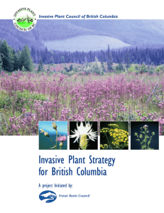 to the 2003 Invasive Plant Strategy