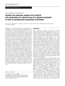 Isolation and molecular analysis of inv dup(15) and construction of a