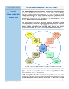 The TeleManagement Forum's NGOSS Framework