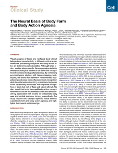 The Neural Basis of Body Form and Body Action Agnosia