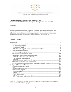 The Boundaries of Property Rights