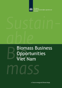 Biomass Business Opportunities Viet Nam