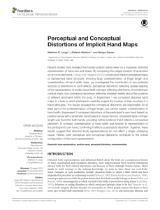 Perceptual and Conceptual Distortions of Implicit