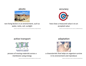 abiotic accuracy active transport adaptation