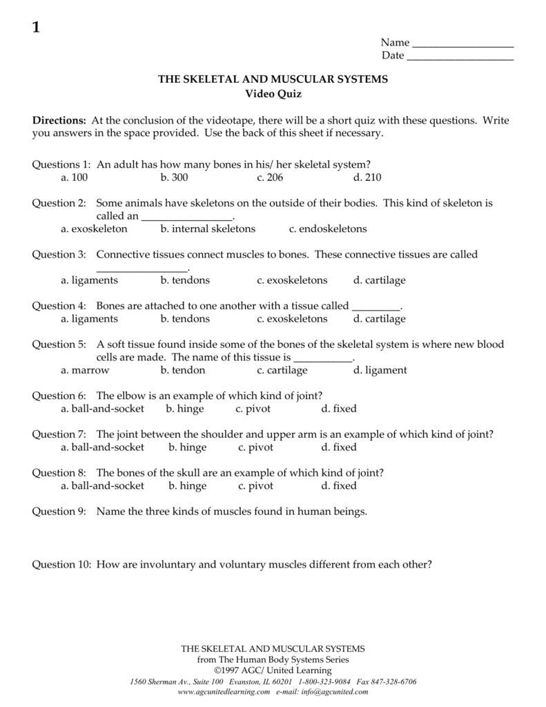 THE SKELETAL AND MUSCULAR SYSTEMS Questions 1