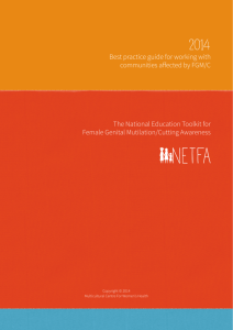 Complete NETFA Best Practice Guide 1Mb