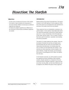 Dissection: The Starfish - f