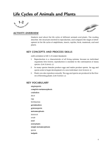 Life Cycles of Animals and Plants