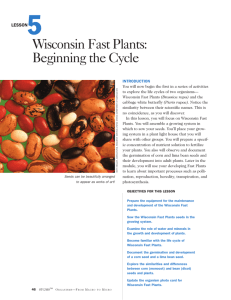 Lesson 5: Wisconsin Fast Plants