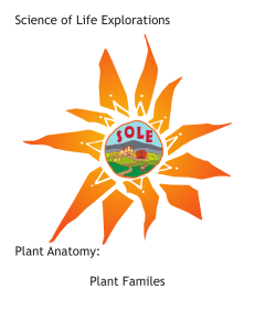 Science of Life Explorations Plant Anatomy: Plant Familes