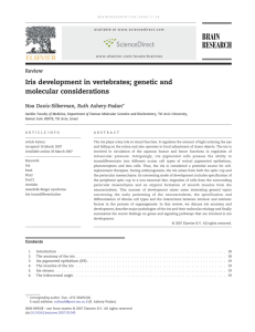 Iris- Development, molecular Genetics-Ruth Ashery-Padan