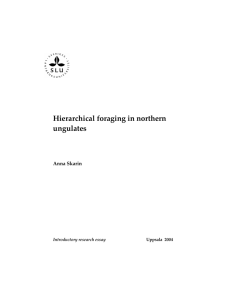 Hierarchical foraging in northern ungulates. ISBN 91-576-6035
