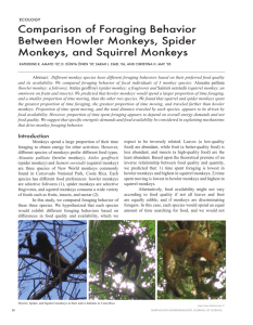 Comparison of Foraging Behavior Between Howler Monkeys, Spider