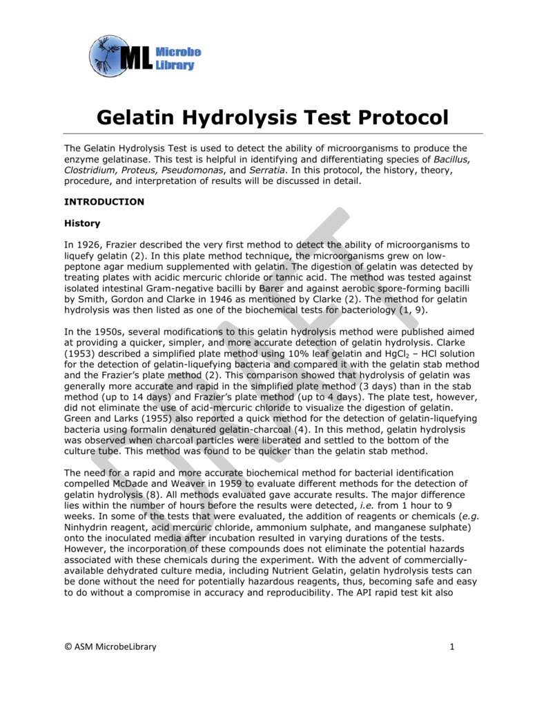 gelatin hydrolysis test e coli