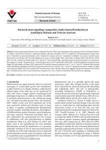Bacterial auxin signaling: comparative study of growth induction in