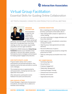 Virtual Group Facilitation