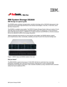 IBM System Storage DS3500