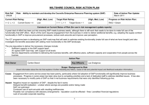 WILTSHIRE COUNCIL RISK ACTION PLAN