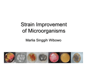 Strain Improvement of microorganisms