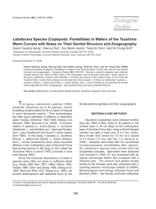 Labidocera Species (Copepoda: Pontellidae) in