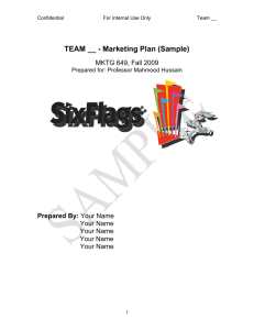 TEAM __ - Marketing Plan (Sample)