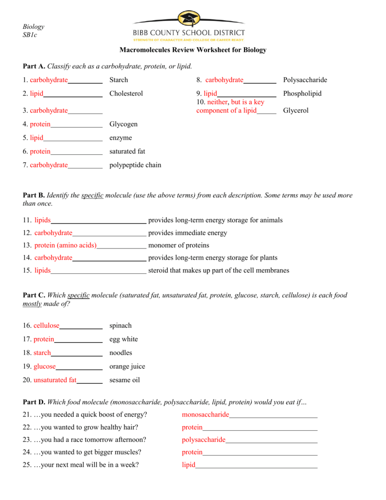 macromolecule worksheet answer key pdf