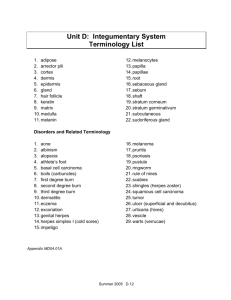 Unit D: Integumentary System Terminology List