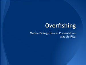 Overfishing - Dsapresents.org