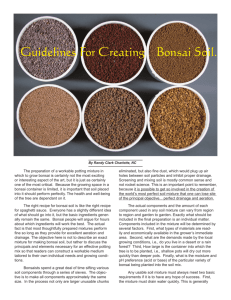 Guidelines For Creating Bonsai Soil.