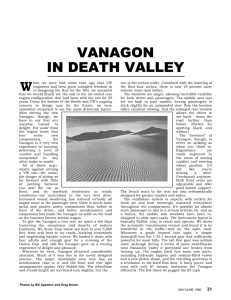 VANAGON IN DEATH VALLEY