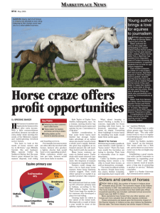 Horse craze offers profit opportunities