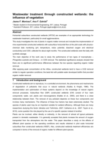 Wastewater treatment through constructed wetlands