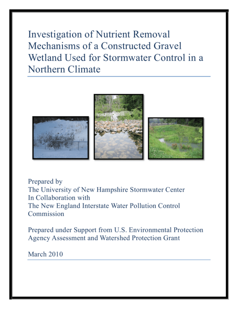 Gravel Wetland Study