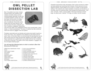 owl pellet dissection lab - Owl Brand Discovery Kits