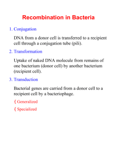 Recombination in Bacteria