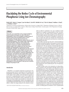 Elucidating the Redox Cycle of Environmental Phosphorus Using