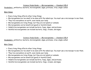Science Study Guide --- Microorganisms --