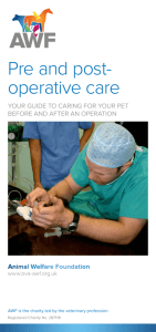 Pre and post- operative care - The Animal Welfare Foundation