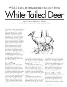 White-tailed deer damage management fact sheet