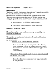 Physiology Notes for Exam 2