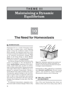 Maintaining a Dynamic Equilibrium The Need for Homeostasis