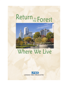 Return to the Forest Where We Live Viewer Guide & Appendix