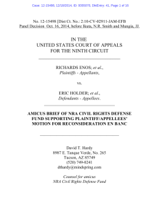 Amicus Brief of NRA Civil Rights Defense Fund Supporting Plaintiff