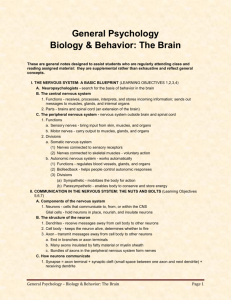 General Psychology Biology & Behavior: The Brain