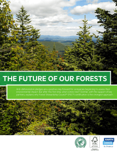 The Future of Our Forests