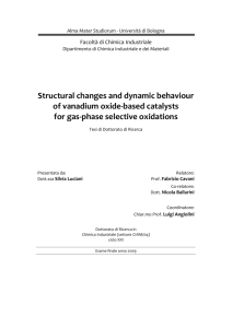 Structural changes and dynamic behaviour of vanadium oxide