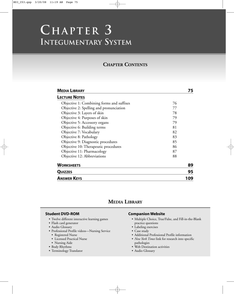 Integumentary system quizlet picture