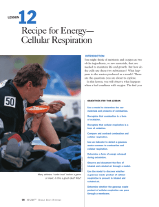 Lesson 12: Recipe for Energy–Cellular Respiration