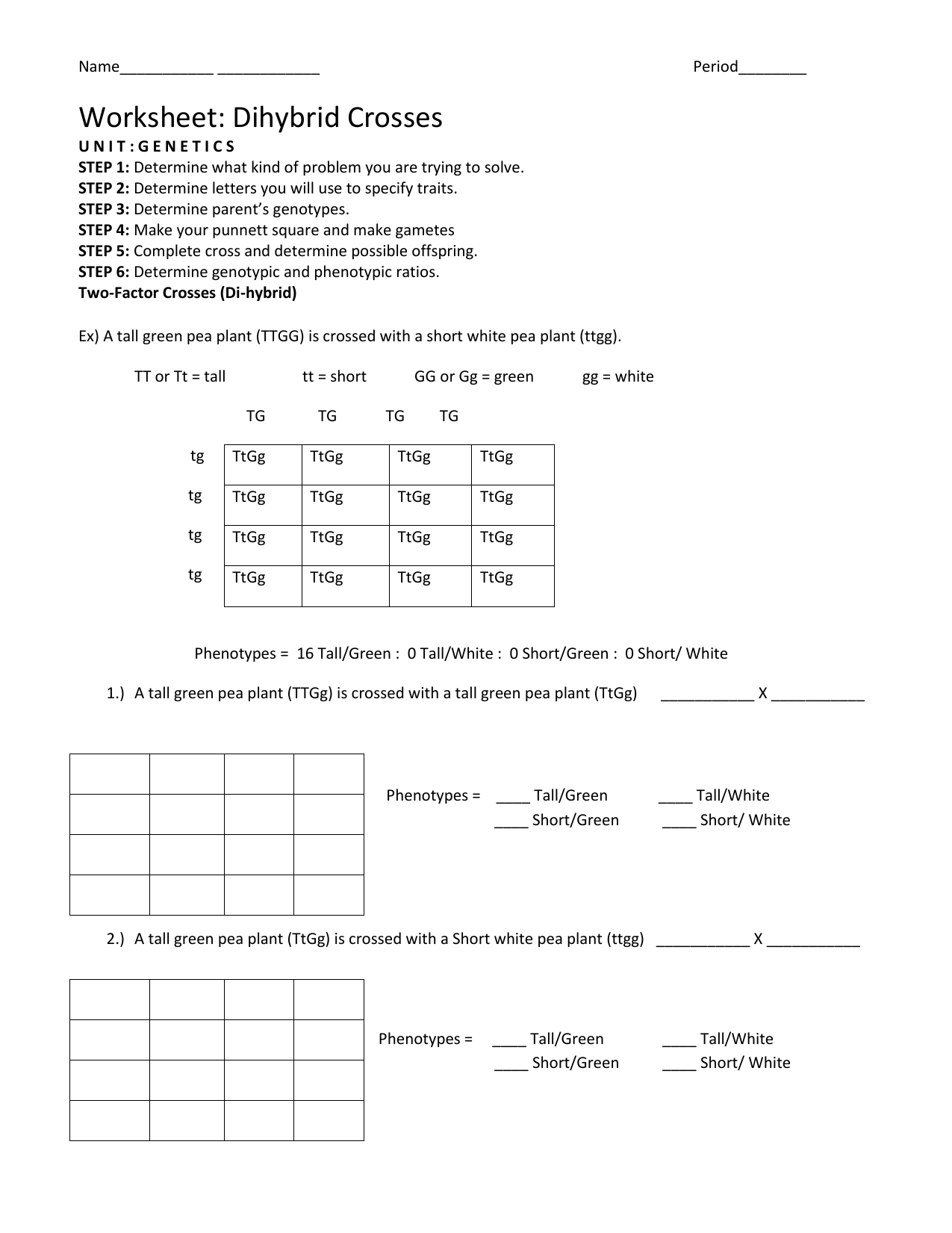 Monohybrid Crosses Worksheet Answers