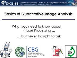 Basics of Quantitative Image Analysis